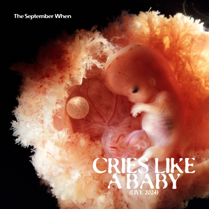 Cries Like A Baby (Live 2024)