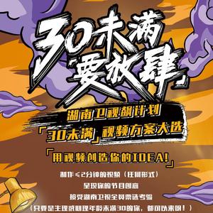 就要放肆（湖南卫视“30未满·要放肆”主题曲）