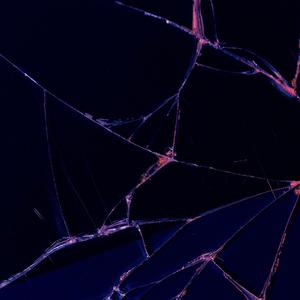 Glass