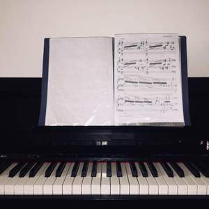 向日葵的花语stars