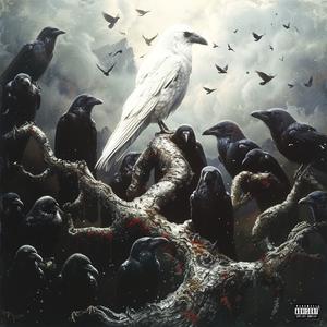 天下乌鸦一般黑