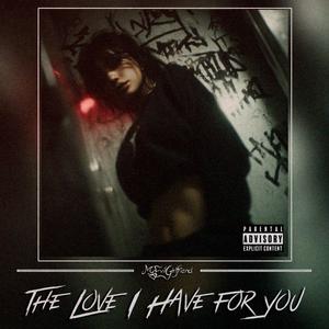 The Love I Have For You