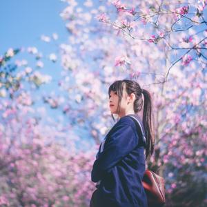 涙の种、笑顔の花