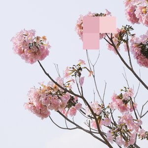 See You on the Other Side (Mount Liberation Unlimited Crying Cowboy Dubb)