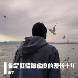 你是我情愿虚度的漫长十年
