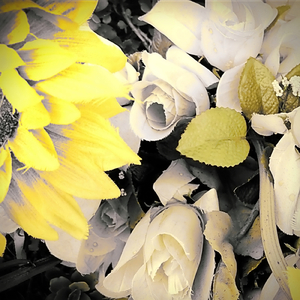 夜明けを眺めて書く日記 (feat. 倉本美津留)