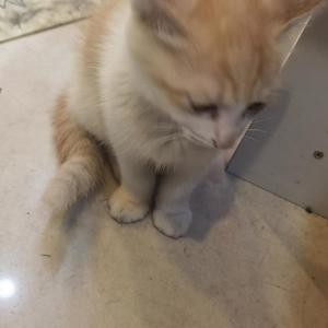 mp3thisforisusedtempconver_20220507_150808