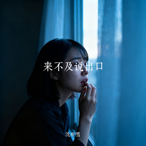 来不及说出口