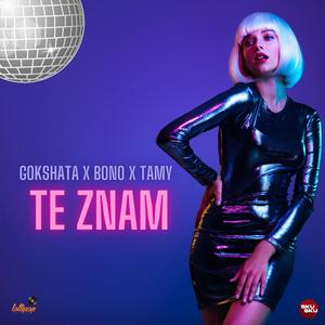 Te Znam (feat. Gokshata & Tamy) (Radio Edit)