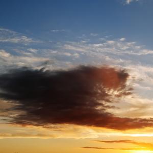 逆风飞翔更显信念