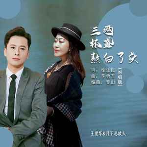 三杯两盏熬白了头 (DJ默涵对唱版)