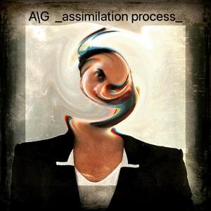 Assimilation process (AX14)