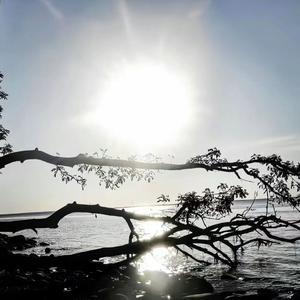 Chanel x A New Error