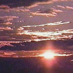 te escribí, entre lágrimas: