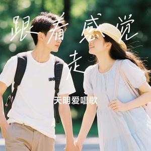 跟着感觉走(Cover 大头针)