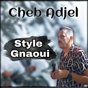 Style gnaoui