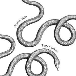 Snake Skin