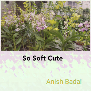 So Soft Cute