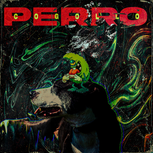 Perro Cogollo