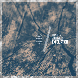 Exfoliation (Original Mix)