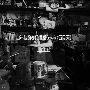 少年他的奇幻漂流