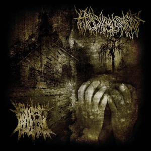 Drug Induced Decomposition