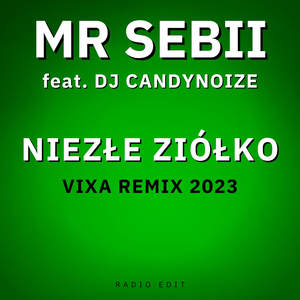Niezłe Ziółko (Vixa Remix 2023)