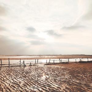 忆(弦乐+尺八+日本筝）