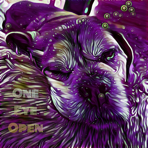 One Eye Open