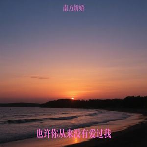 也许你从来没有爱过我