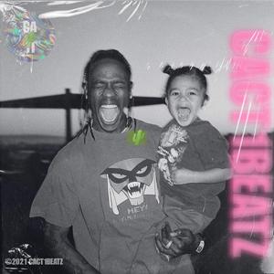 「在售」Travis Scott Type Beat "Baby Stormi."