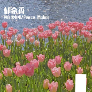 郁金香（Prod by MAYBE SWAG）