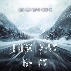 Навстречу ветру