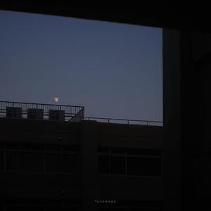 dump remix（翻自 周佳顺）