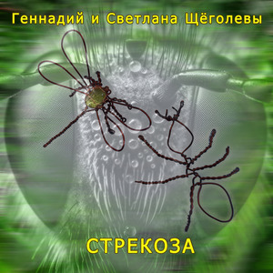 Стрекоза
