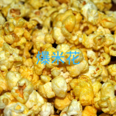 阳光中的向日葵