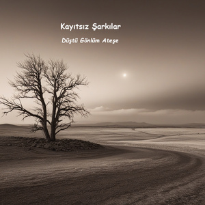 Düştü Gönlüm Ateşe (Radio Edit)