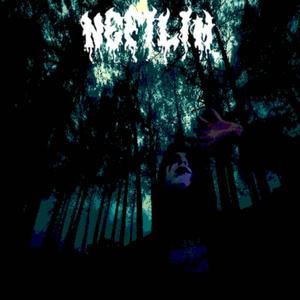 Silence Of A Crushing Darkness