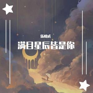 满目星辰皆是你