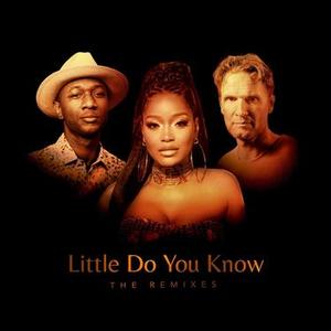 Little Do You Know (feat. Keke Palmer & Aloe Blacc) (Ibiza Mix)