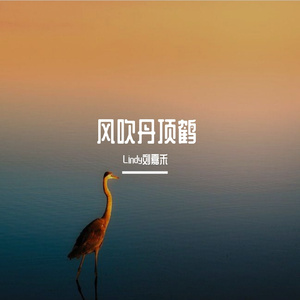 风吹丹顶鹤【女声独唱版】