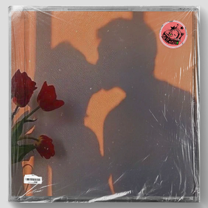 不可言喻（R&B SZA Type Beat）