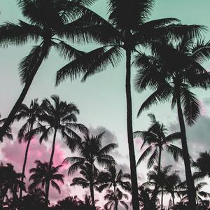 Holiday (feat. ICKEDAICEGOD)