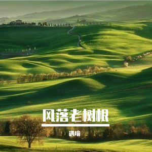 风柔漫心房