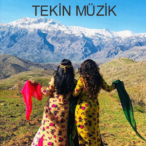 Ağrı -Iğdır - Enstrumantal Halay Kopmalik