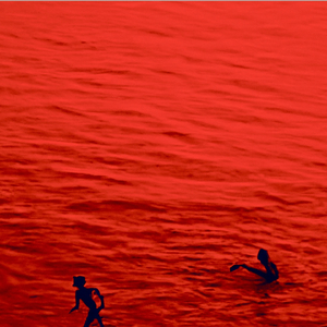 Skinny Dip (Single Edit)