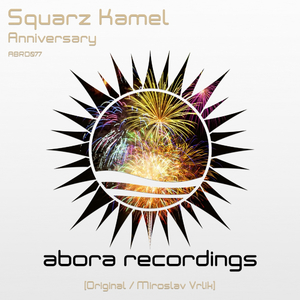 Anniversary (Miroslav Vrlik Remix)