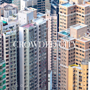 Travel in the Crowded City