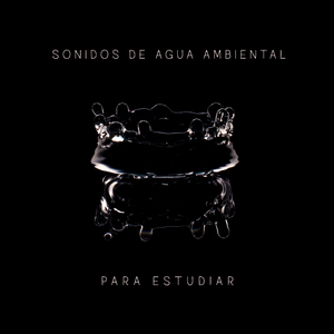 Sonidos de Las Olas del Mar