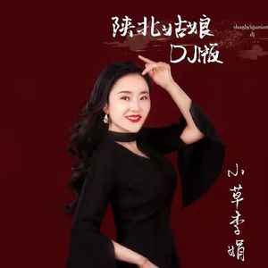 陕北姑娘 (DJ默涵版)